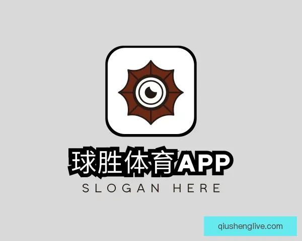 关于球胜体育APP